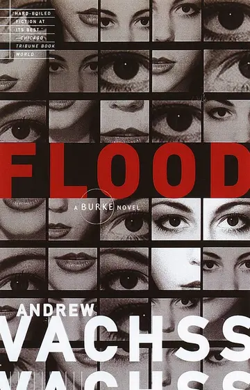 Cover of Flood