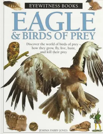 Cover of Eagle & Birds of Prey