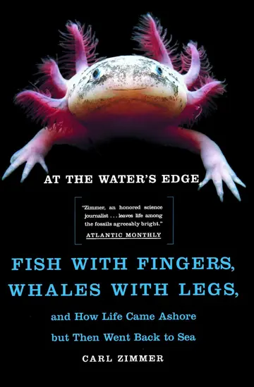 Cover of At the Water's Edge
