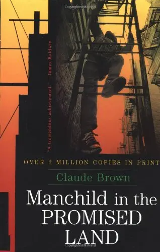 Cover of Manchild in the Promised Land