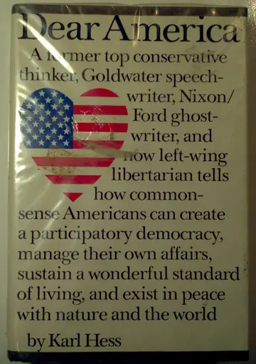 Cover of Dear America