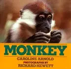 Cover of Monkey