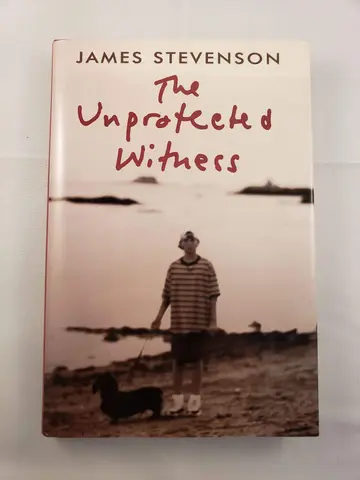 Cover of The Unprotected Witness