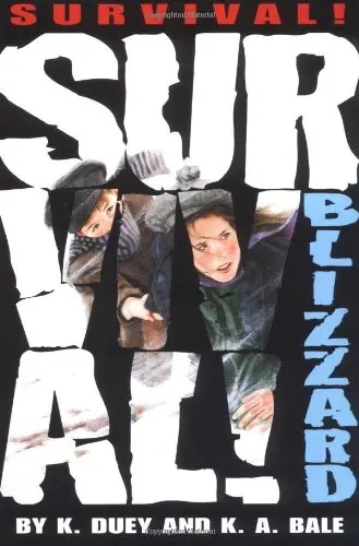 Cover of Blizzard