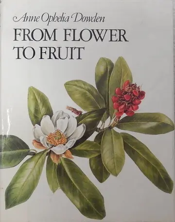 Cover of From Flower to Fruit
