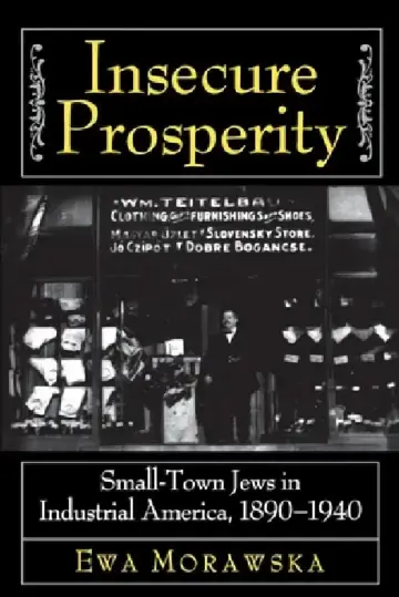 Cover of Insecure Prosperity