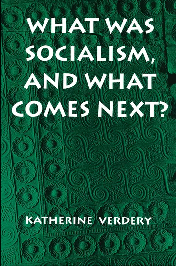 Cover of What Was Socialism & What Comes Next ?