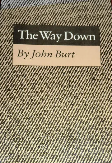 Cover of The Way Down