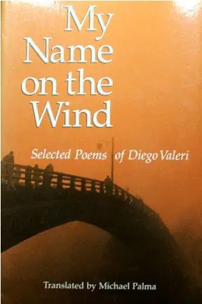 Cover of My Name on the Wind (Paper)