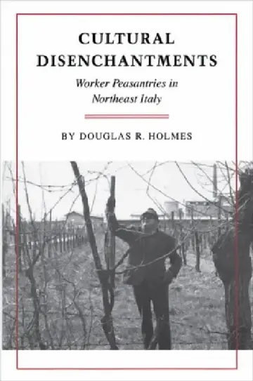 Cover of Cultural Disenchantments