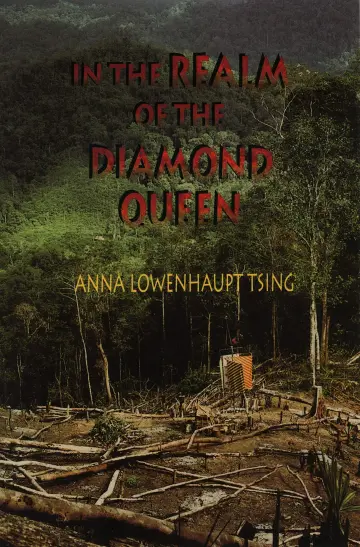 Cover of In the Realm of the Diamond Queen – Marginality in an Out–Of–The–Way Place