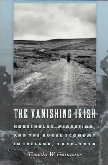 Cover of The Vanishing Irish