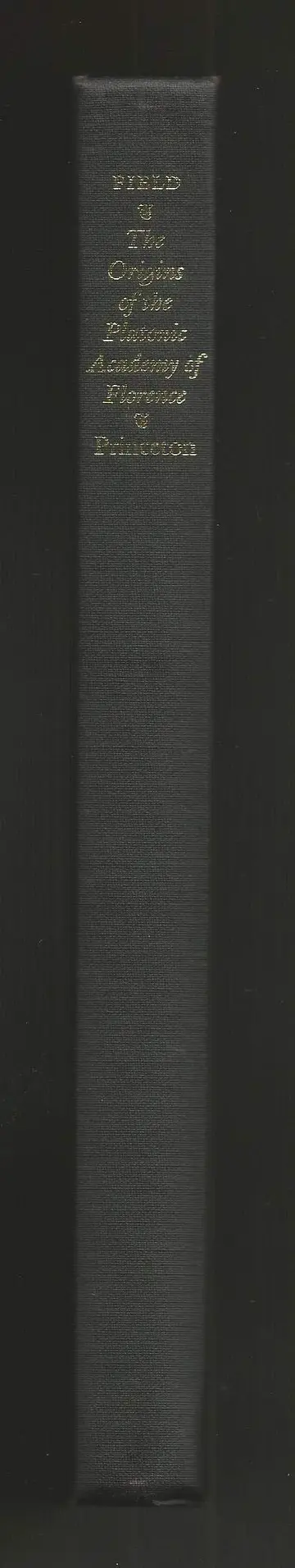 Cover of The Origins of the Platonic Academy of Florence