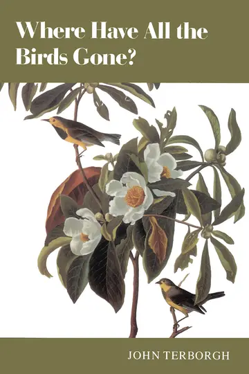 Cover of Where Have All the Birds Gone? Essays on the Biology & Conservation of Birds That Migrate to the American Tropics