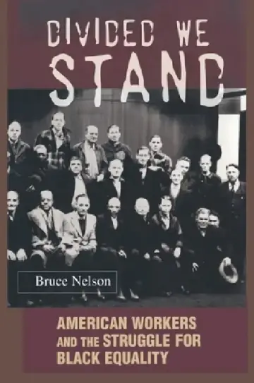 Cover of Divided We Stand