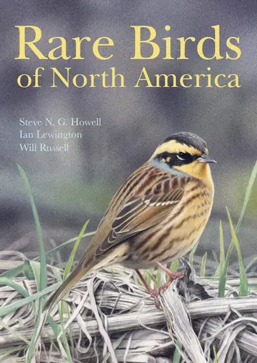 Cover of Rare Birds of North America