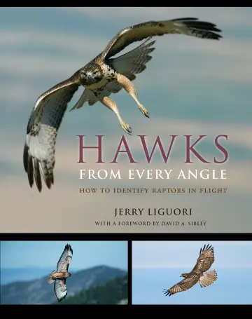 Cover of Hawks from Every Angle