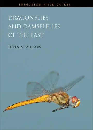 Cover of Dragonflies and Damselflies of the East