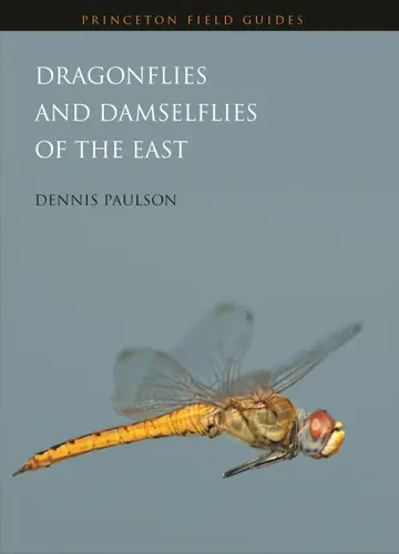 Cover of Dragonflies and Damselflies of the East