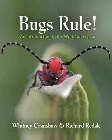 Cover of Bugs Rule!