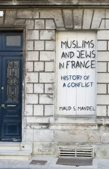 Cover of Muslims and Jews in France