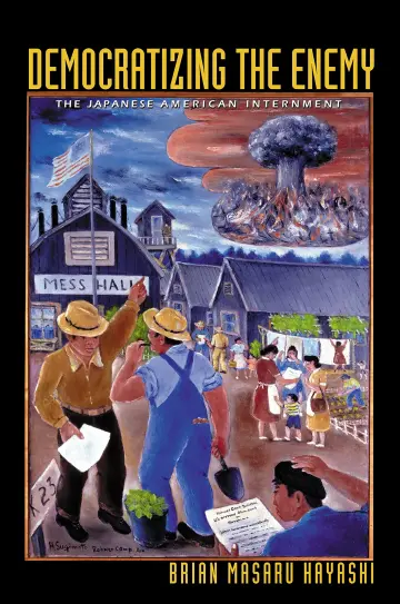 Cover of Democratizing the Enemy