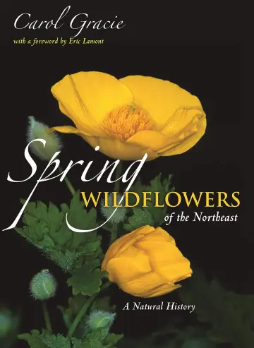Cover of Spring Wildflowers of the Northeast