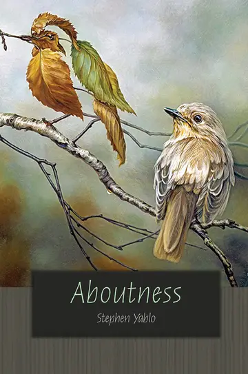 Cover of Aboutness