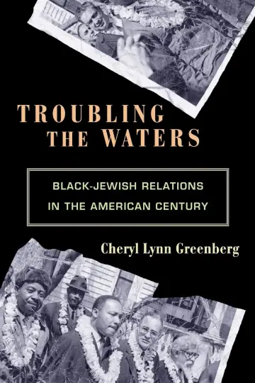 Cover of Troubling the Waters
