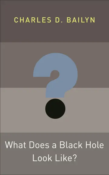 Cover of What Does a Black Hole Look Like?