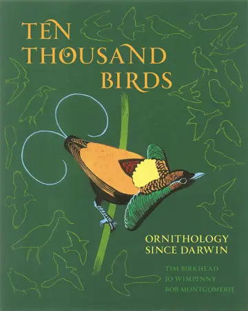 Cover of Ten Thousand Birds