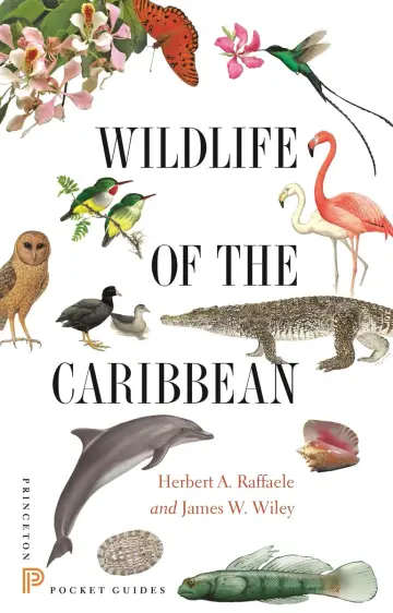 Cover of Wildlife of the Caribbean