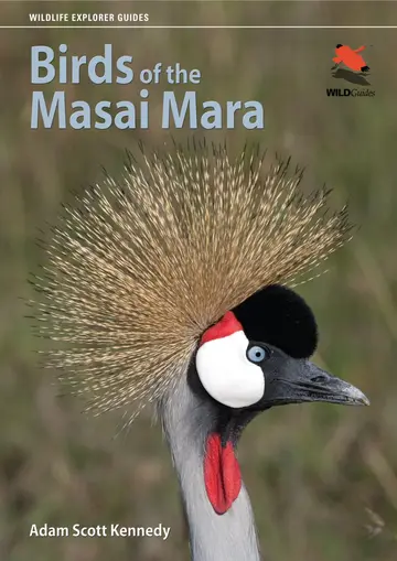 Cover of Birds of the Masai Mara
