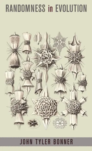Cover of Randomness in Evolution