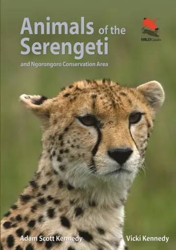 Cover of Animals of the Serengeti