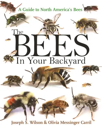 Cover of The Bees in Your Backyard
