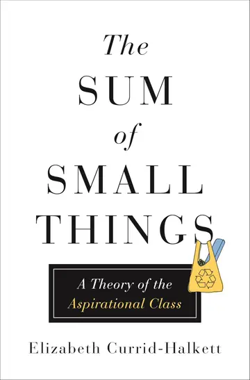Cover of The Sum of Small Things