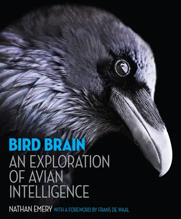 Cover of Bird Brain