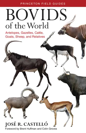Cover of Bovids of the World