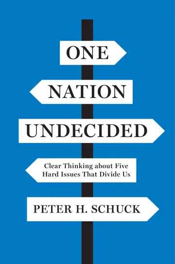 Cover of One Nation Undecided