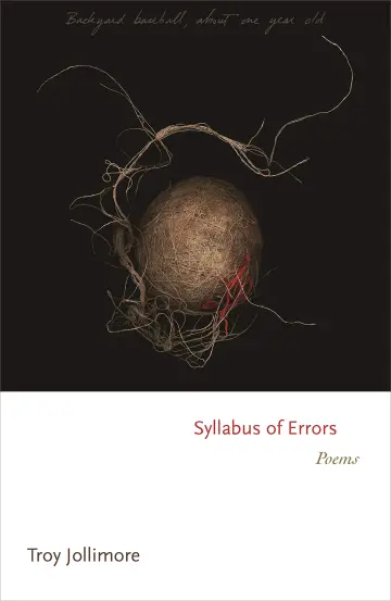 Cover of Syllabus of Errors