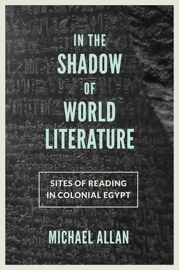 Cover of In the Shadow of World Literature