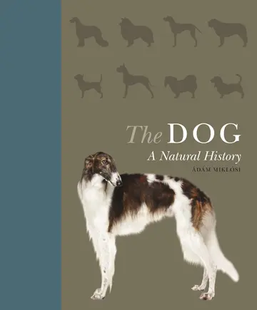 Cover of The Dog