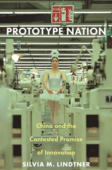 Cover of Prototype Nation