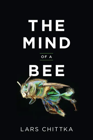 Cover of The Mind of a Bee