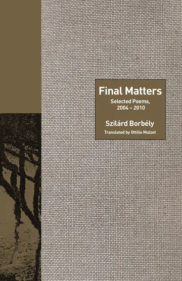 Cover of Final Matters