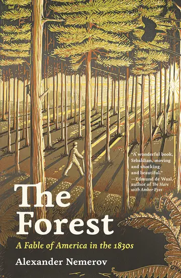 Cover of The Forest