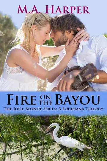 Cover of Fire on the Bayou