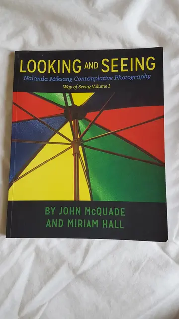 Cover of Looking and Seeing
