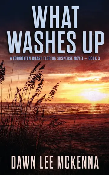 Cover of What Washes up